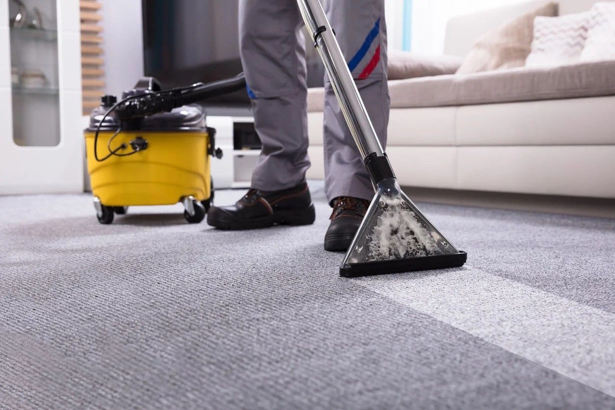 professional carpet cleaning machine, upholstery cleaning, office cleaning, hotel cleaning, care home cleaning